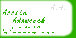 attila adamcsek business card